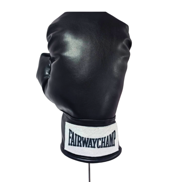 Couvre-chef du driver 10-Z0030_1