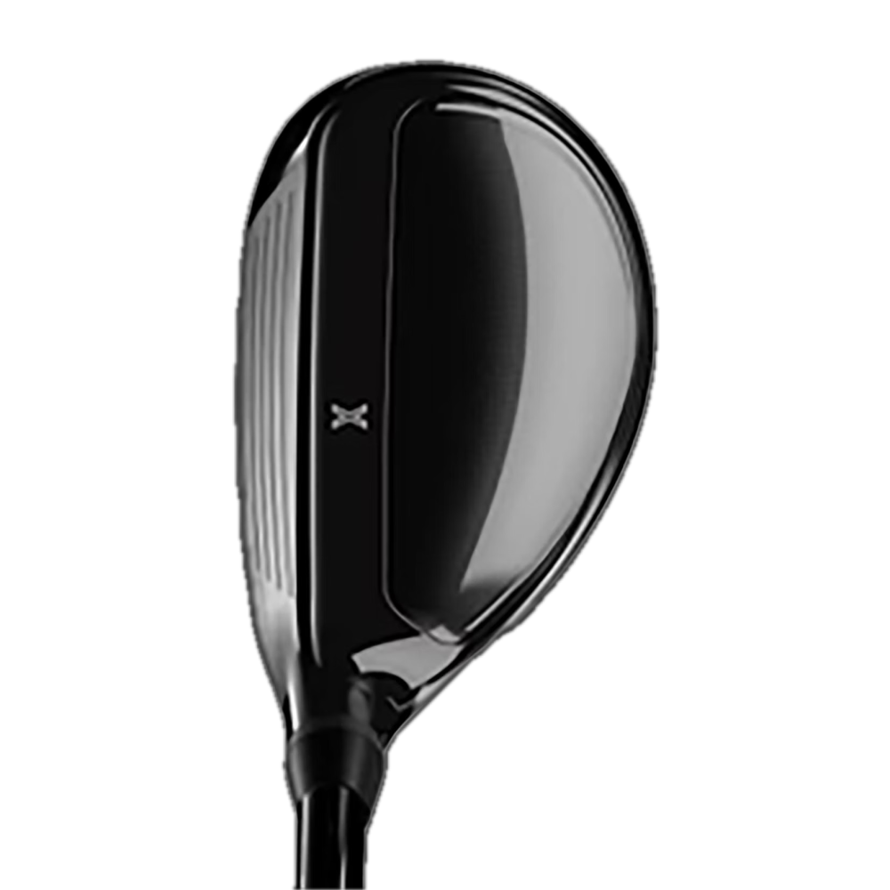 Black Lightning Hybrid RH / 8# / R / Denali Silver 70i 5.5 P22-H2601_72